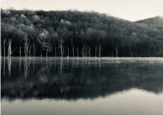 "Reflection"-Monksville Canvas Art Print