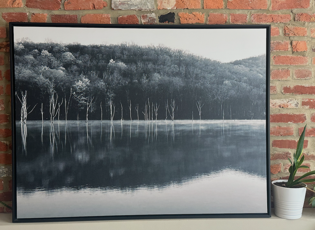 "Reflection"-Monksville Canvas Art Print