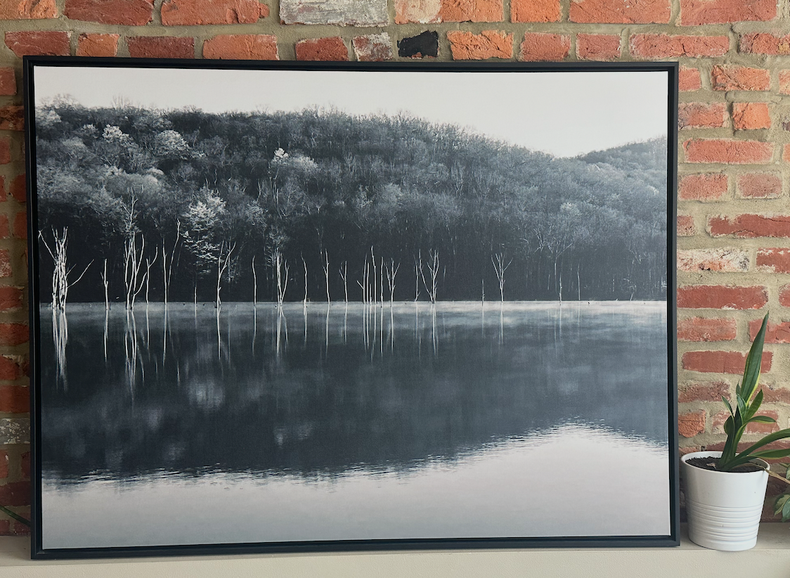 "Reflection"-Monksville Canvas Art Print